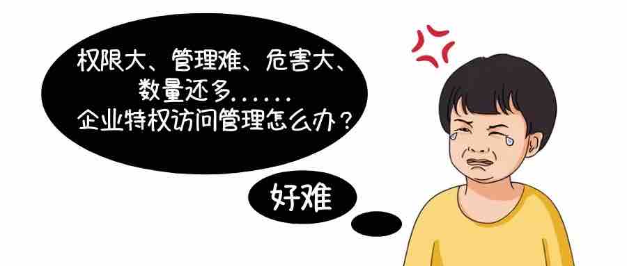 權(quán)限大、數(shù)量多、破壞強、管理難......企業(yè)特權(quán)訪問管理怎么管?
