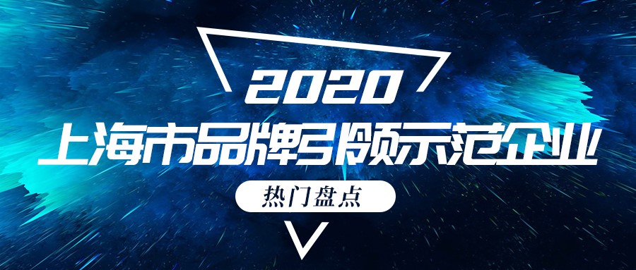 派拉軟件成功入選上海市品牌培育示范企業(yè)！