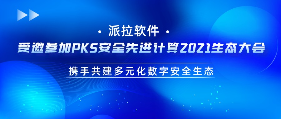 派拉軟件與奇安信結(jié)成戰(zhàn)略合作伙伴，攜手共建多元化數(shù)字安全生態(tài)