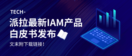 2024，身份安全至關(guān)重要！派拉軟件最新IAM產(chǎn)品詳解，文末附白皮書下載！